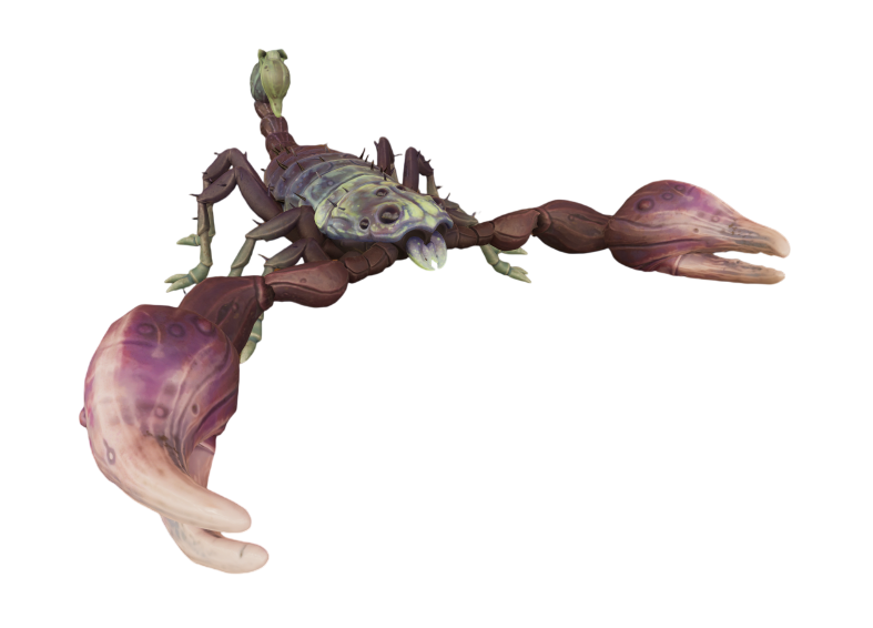 Northern Scorpion Jr.